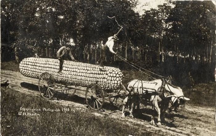 History: Tall Tale postcards