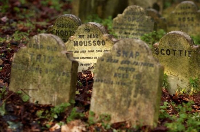 Pet cemetery, Hyde Park, London