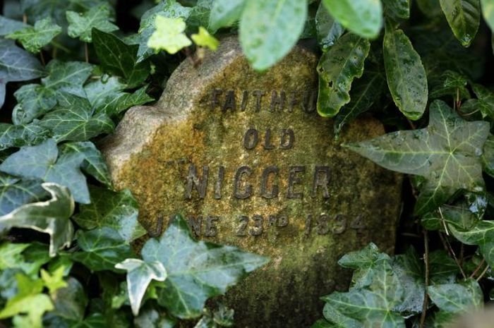 Pet cemetery, Hyde Park, London