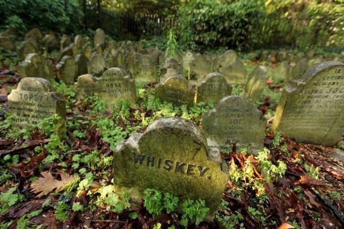 Pet cemetery, Hyde Park, London