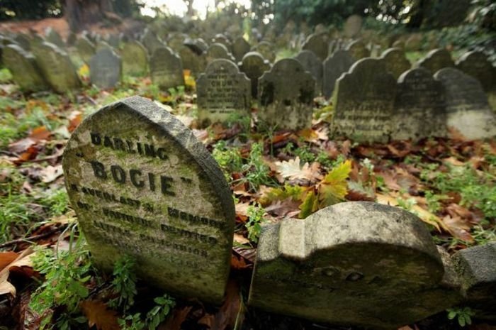 Pet cemetery, Hyde Park, London