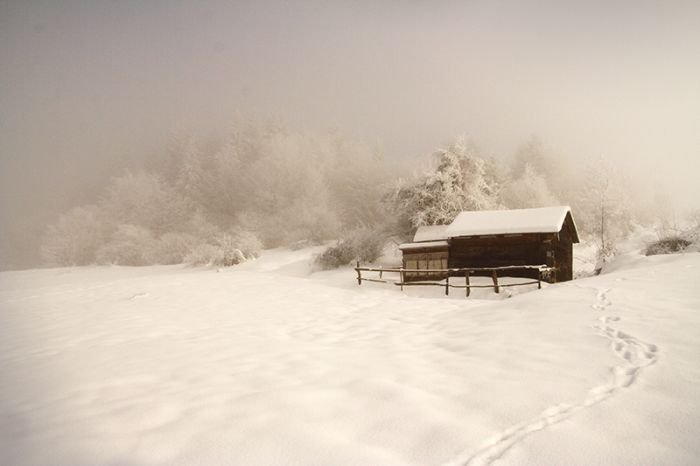 winter photography