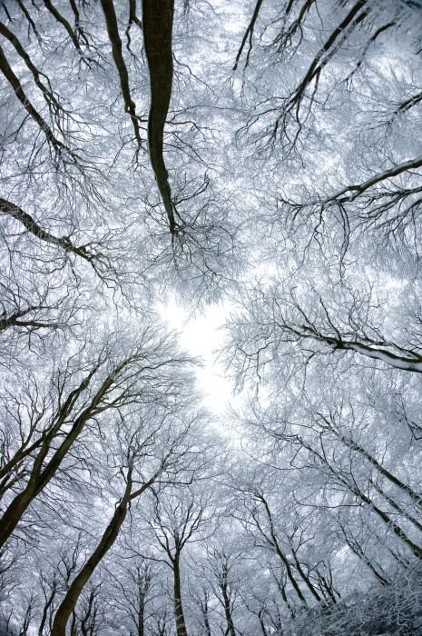 winter photography