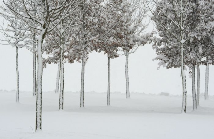 GERMANY-WEATHER-WINTER-SNOW