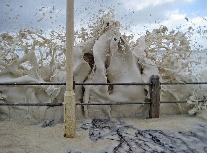 Cappuccino coast, Cape Town, South Africa