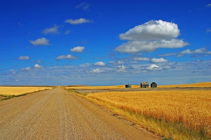 roads around the world