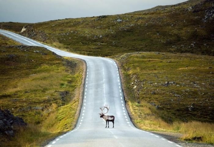 roads around the world