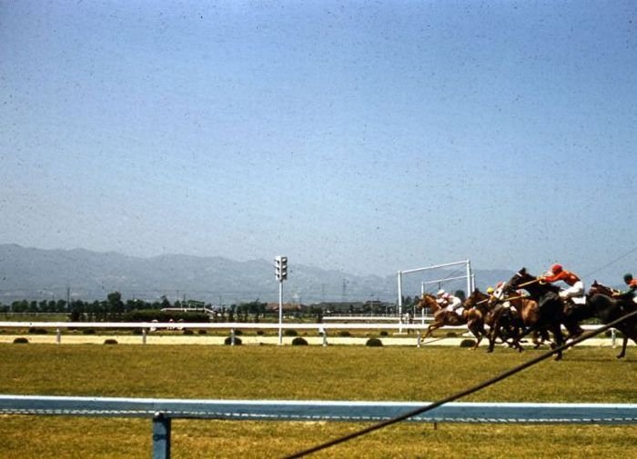 Japan in the 1950's by Herb Gouldon