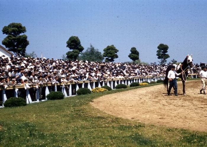 Japan in the 1950's by Herb Gouldon