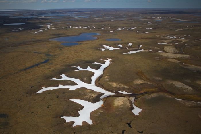 Life of Siberian reindeer herders, Yamal, Russia.