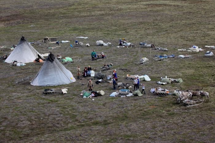 Life of Siberian reindeer herders, Yamal, Russia.