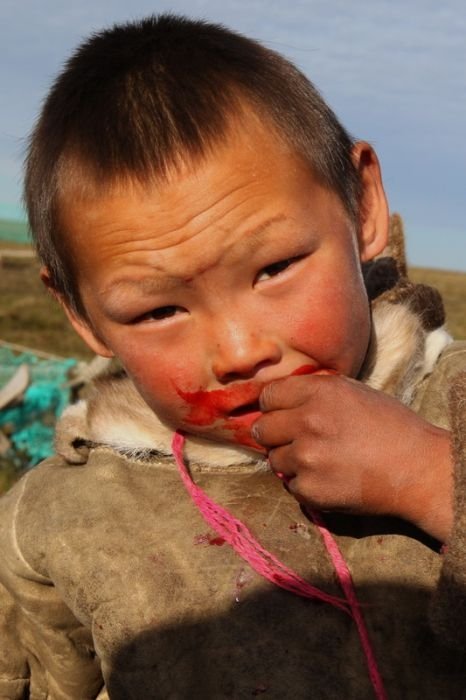 Life of Siberian reindeer herders, Yamal, Russia.