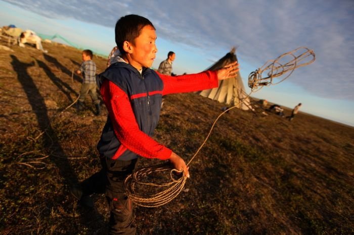 Life of Siberian reindeer herders, Yamal, Russia.