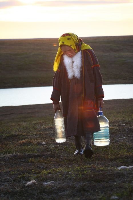 Life of Siberian reindeer herders, Yamal, Russia.