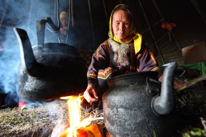 Life of Siberian reindeer herders, Yamal, Russia.