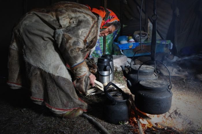 Life of Siberian reindeer herders, Yamal, Russia.