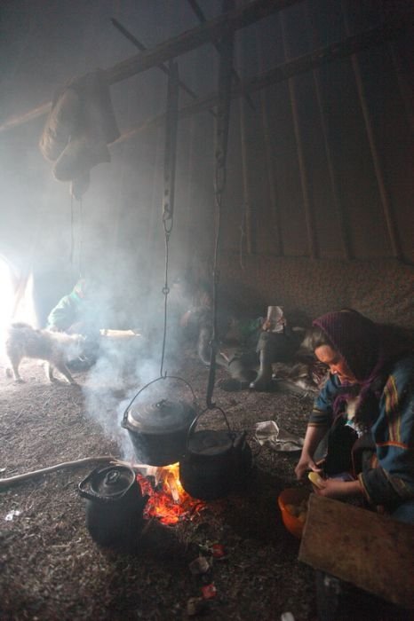 Life of Siberian reindeer herders, Yamal, Russia.