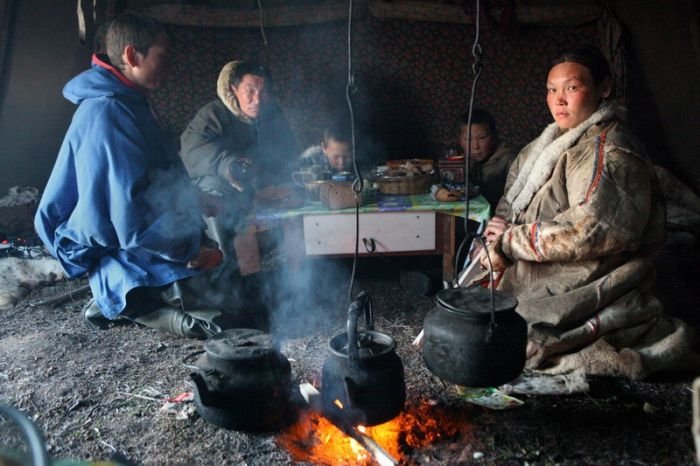 Life of Siberian reindeer herders, Yamal, Russia.