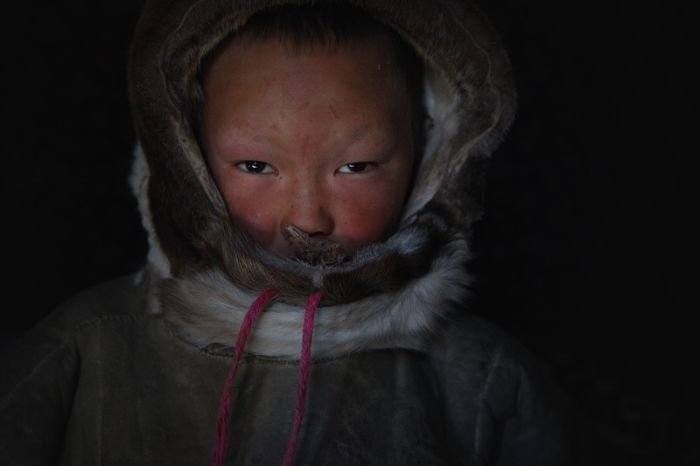 Life of Siberian reindeer herders, Yamal, Russia.