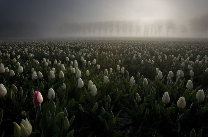 world travel landscape photography