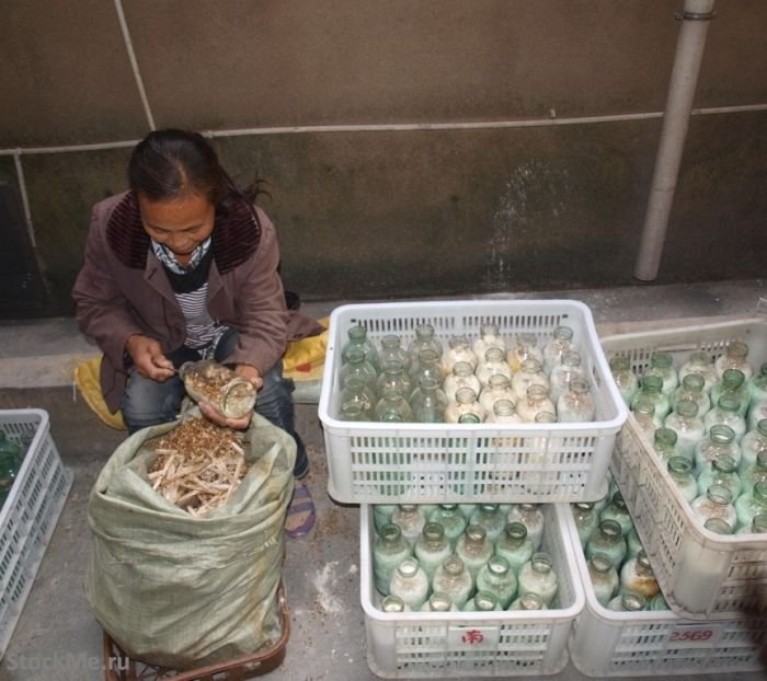 edible chinese mushrooms