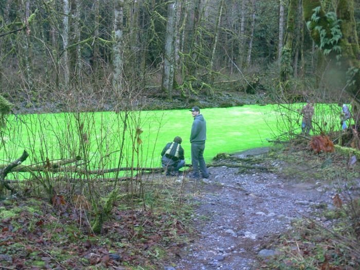 Fluorescein dumped into Goldstream River, British Columbia, Canada