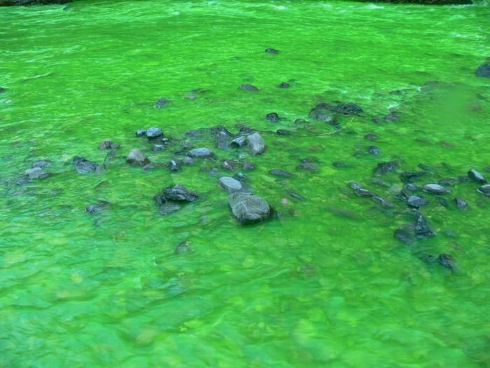 Fluorescein dumped into Goldstream River, British Columbia, Canada