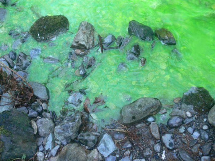 Fluorescein dumped into Goldstream River, British Columbia, Canada