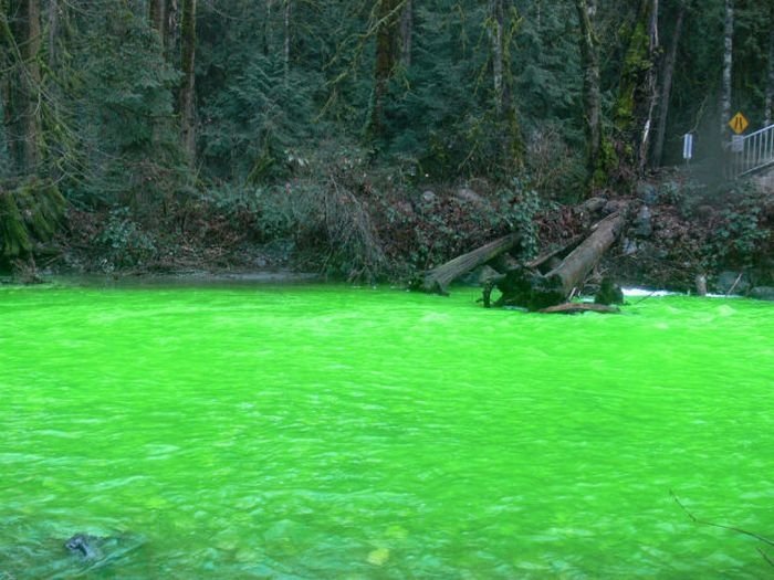 Fluorescein dumped into Goldstream River, British Columbia, Canada