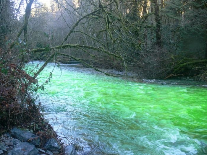 Fluorescein dumped into Goldstream River, British Columbia, Canada