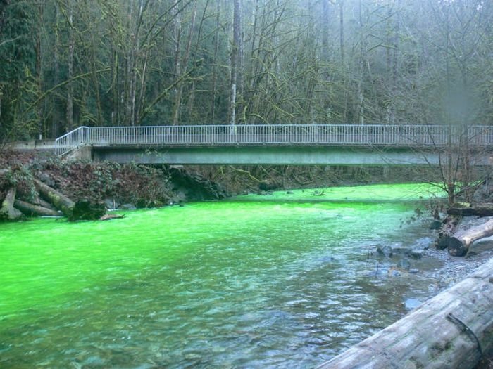 Fluorescein dumped into Goldstream River, British Columbia, Canada