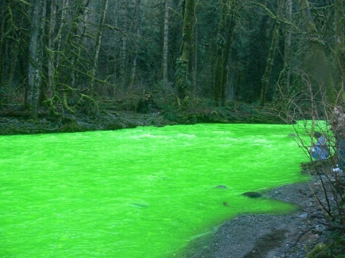 Fluorescein dumped into Goldstream River, British Columbia, Canada