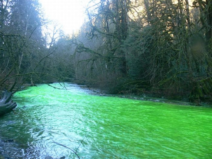 Fluorescein dumped into Goldstream River, British Columbia, Canada