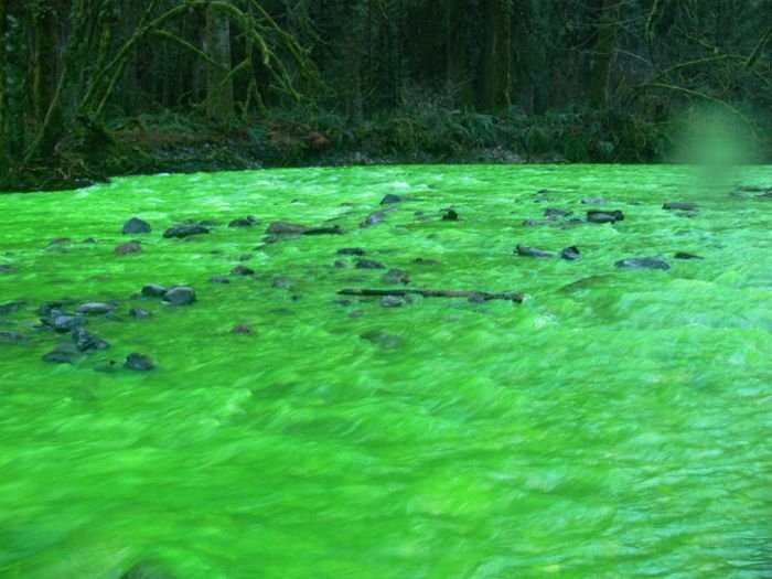 Fluorescein dumped into Goldstream River, British Columbia, Canada