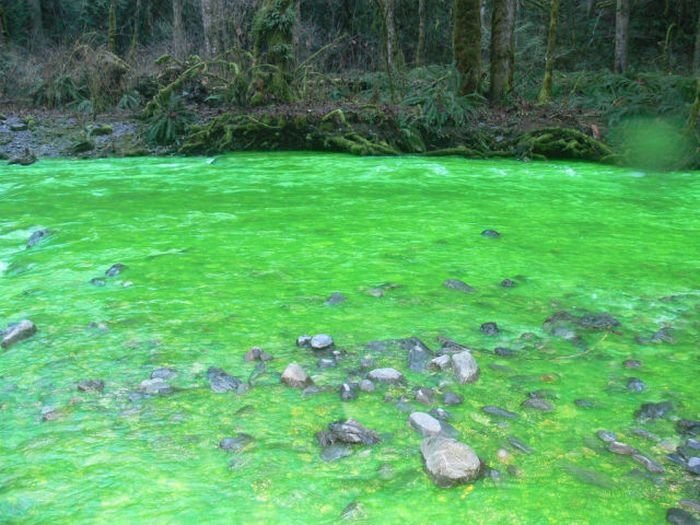 Fluorescein dumped into Goldstream River, British Columbia, Canada