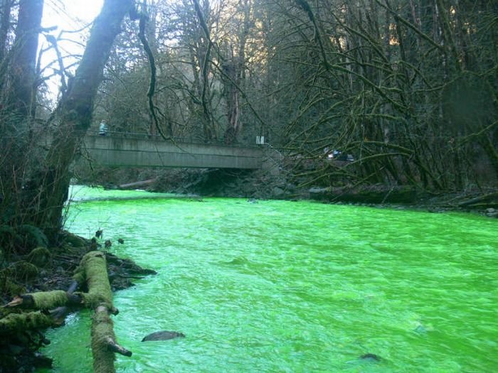 Fluorescein dumped into Goldstream River, British Columbia, Canada