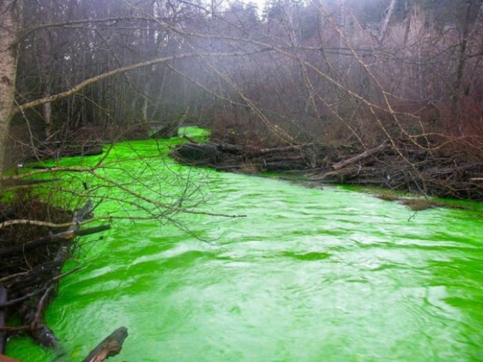 Fluorescein dumped into Goldstream River, British Columbia, Canada