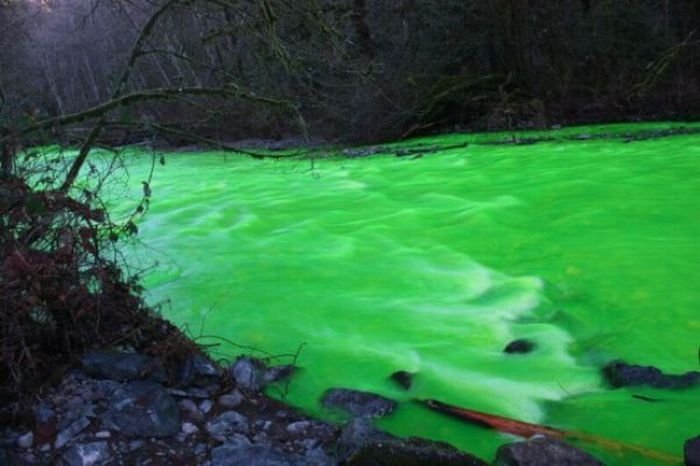 Fluorescein dumped into Goldstream River, British Columbia, Canada