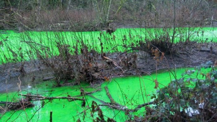 Fluorescein dumped into Goldstream River, British Columbia, Canada