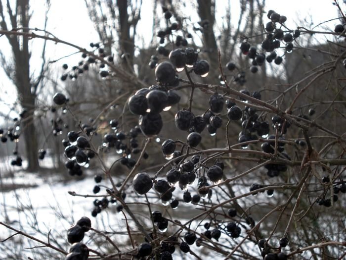 Chernobyl in winter, Pripyat, Kiev Oblast, Ukraine