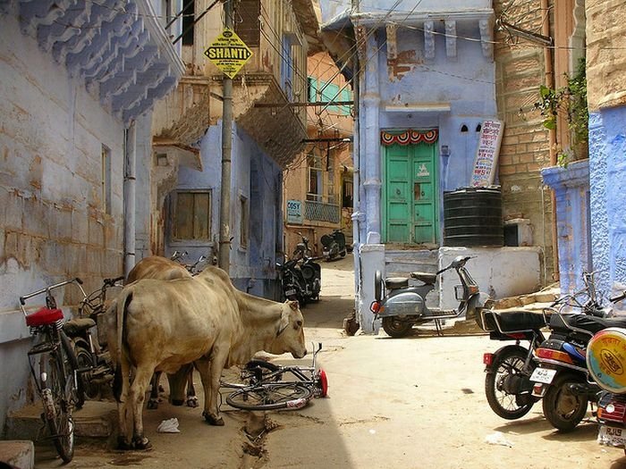 Blue City, Jodhpur, Rajasthan, India