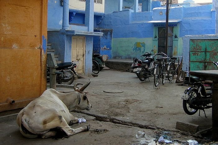 Blue City, Jodhpur, Rajasthan, India