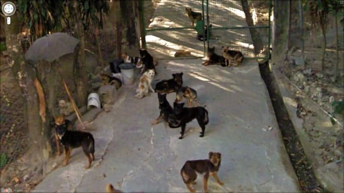 google street view photos