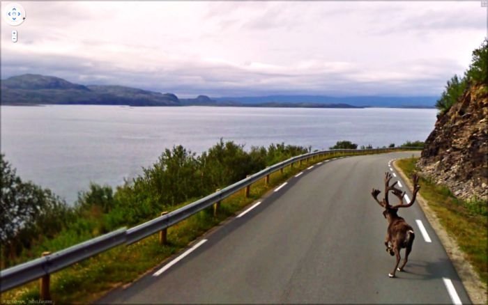 google street view photos