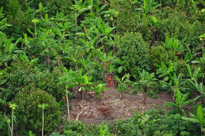 Unknown tribe, Brazil