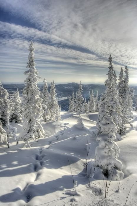 mountains in winter