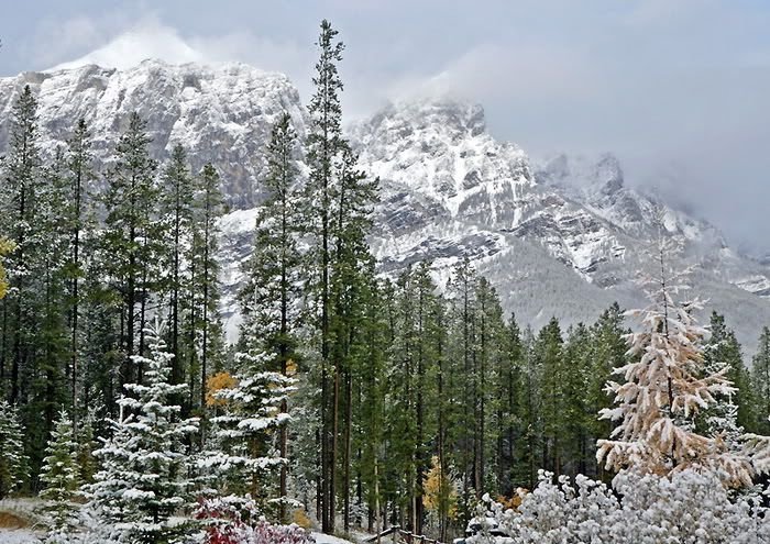 mountains in winter