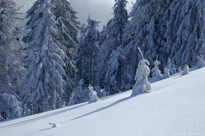 mountains in winter