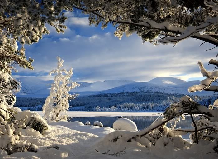 mountains in winter