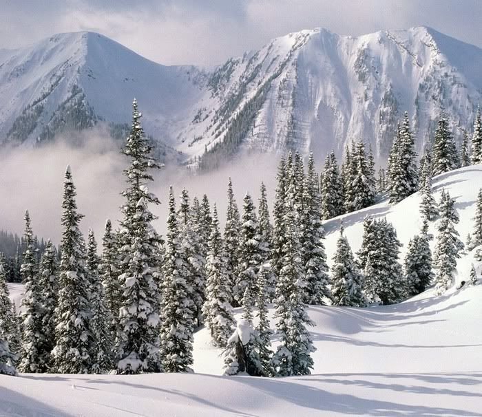 mountains in winter